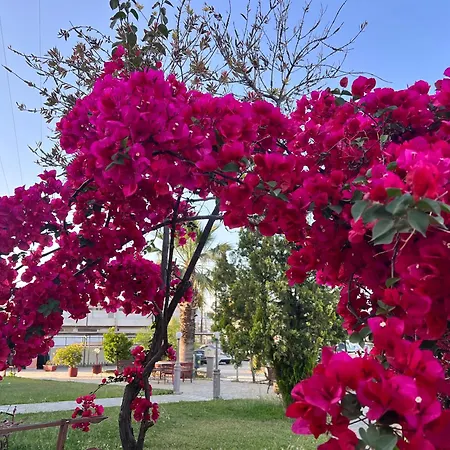 Kyklamino Loutra Oraias Elenis