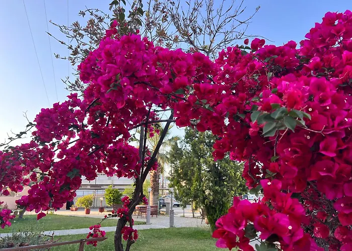 Kyklamino Lutrá Oréasz Elénisz